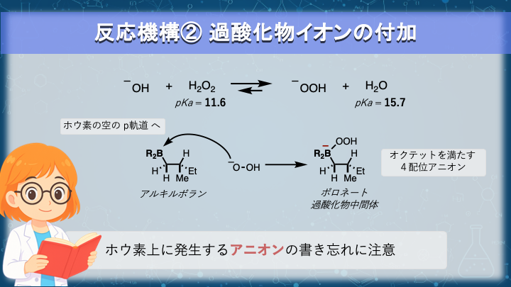 アルキルボランへの HOO− 付加機構 #U5-pic4-4-4