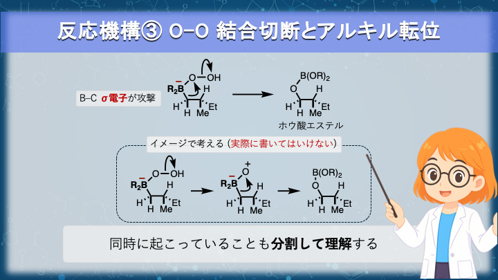 O–O結合切断とB→Oアルキル転位の模式図 #U5-pic4-5-4
