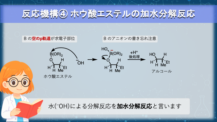 ホウ酸エステルの加水分解とアルコール生成 #U5-pic4-6-2