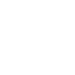 #U ブルース有機化学